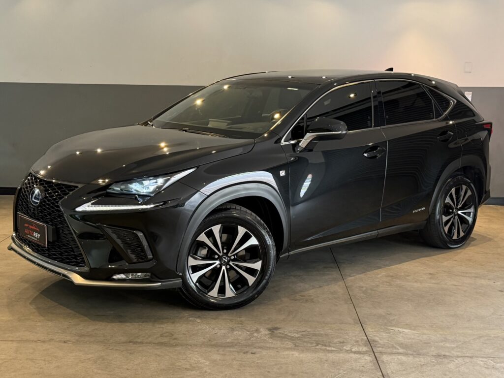 LEXUS NX 300H